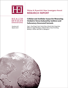 HEI Research Report 197 cover