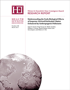 HEI Research Report 198 cover