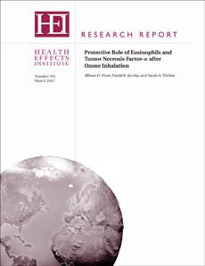 cover of Research Report 191