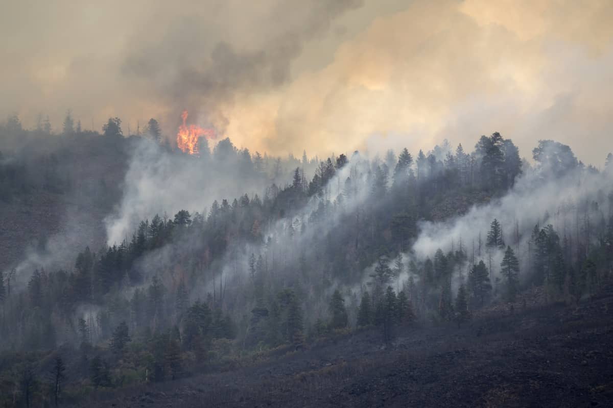 Wild fire over a mountainous evergreen terrain
