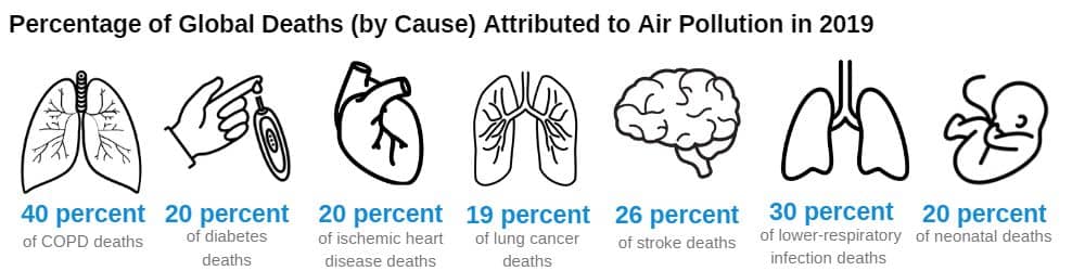 Percentage of Global Deaths (by Cause) Attributed to Air Pollution in 2019