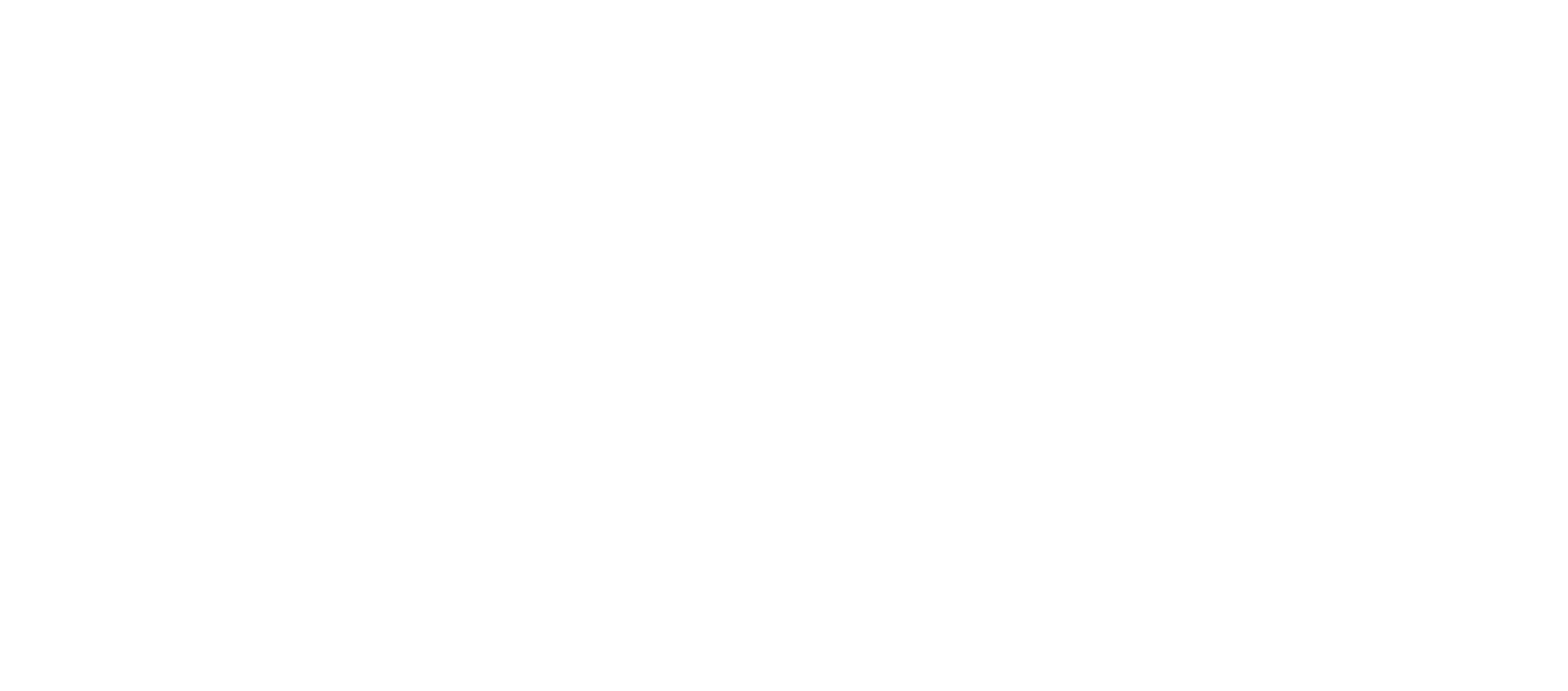 HEI reverse logo