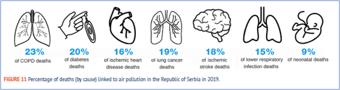 Percentage of deaths (by cause) linked to air pollution in Serbia in 2019.