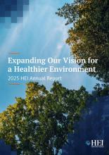HEI Annual Report 2025